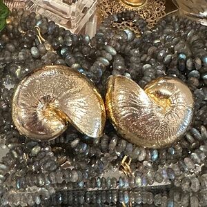 Mimi di N 1983 Gold Nautilus Shell Sculptural Belt Buckle Set Vintage Designer